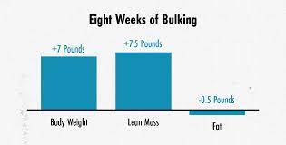 the best macros for bulking how much
