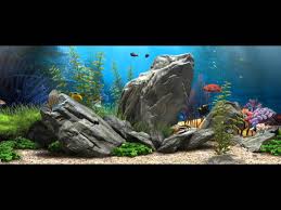 3d fish aquarium 21 9 live wallpaper