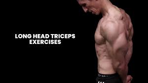 long head triceps exercises for bigger