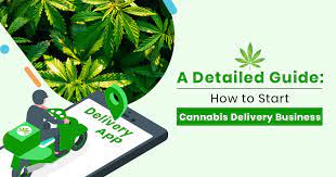Check spelling or type a new query. How To Start A Cannabis Marijuana Delivery Service App In Your City