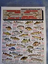 Tightline Publications Fishing F W I D 8 Freshwater Identification Chart