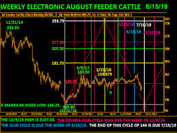 Feeder Cattle Chart North American Agricultural Services