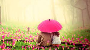 2560x1440 Love Couple In Pink Garden ...
