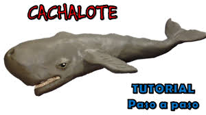 Los cachalotes se alimentan de peces. Como Hacer Una Ballena Cachalote De Plastilina How To Make A Sperm Whale With Clay Youtube