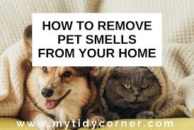 How To Remove Pet Smells From Your Home