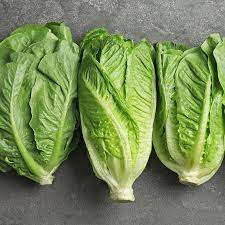 romaine lettuce nutrition benefits and