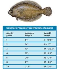 Texas Flounder Regulations Proving Successful Gulf Coast