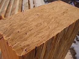 steve maxwell wood beams stronger than