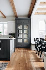 Smoked Mirror Panels On Gray Pantry