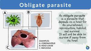 obligate parasite definition and