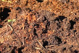 How To Use Horse Manure In Your Garden