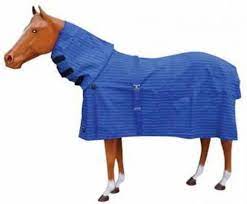 canvas combo horse rugs 4 0 to 6 9