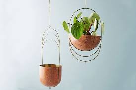 Best Hanging Plants And Planters The
