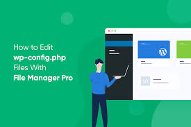 how to edit wp config php files with