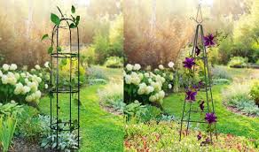 Decorative Garden Obelisk Trellis 2