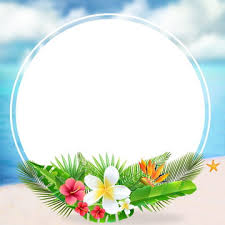 photo frame background images hd