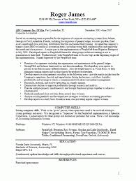Business Resume Sample Free Resume Template Professional