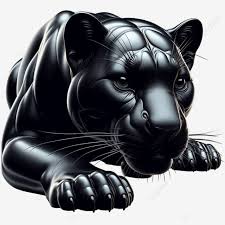 black panther on white background sleek