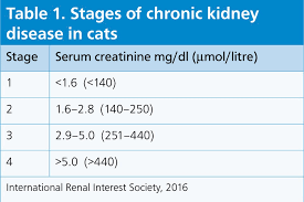 The heart disease has a variable penetrance so not all cats with the mutation will actually get the disease. Supporting Quality Of Life In Feline Patients With Chronic Kidney Disease The Veterinary Nurse