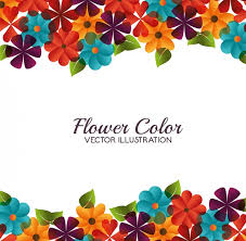 premium vector flower color design