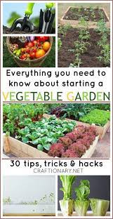 vegetable garden tips tricks and s