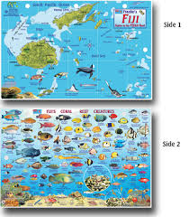 Bluewater Books Charts Fiji Fish Card
