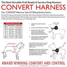 Delicate Ezydog Convert Trail Ready Dog Harness