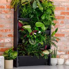 plantbox indoor living wall with