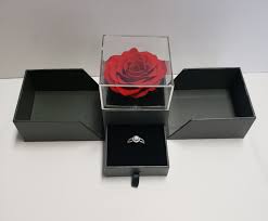 rose bella preserved rose jewelry box