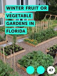 learn winter fruit or vegetable gardens
