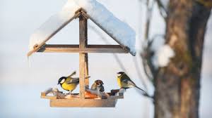 une mangeoire pour les oiseaux