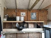 Image result for where do nesting boxes go in a chicken coop