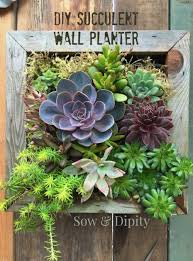 easy succulent wall planter