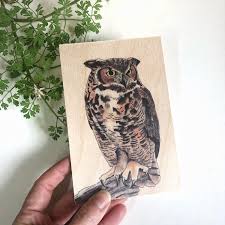 owl wooden postcard unique just