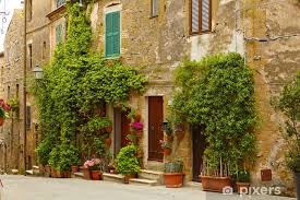 Flowers Tuscany Italy