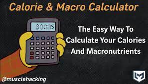 calorie and macro calculator bulking