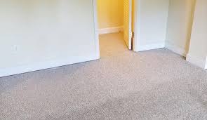 carpet cleaning for college