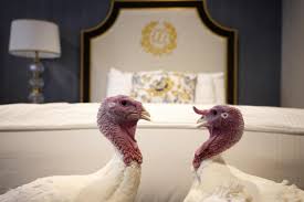 Updated november 9, 2020 | infoplease staff. Turkey Pardon White House Announces Names Of Birds To Be Spared By Trump For Thanksgiving The Independent The Independent