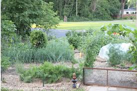 Best Soil For A Vegetable Garden