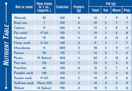 Nuts Seeds Ancient Foods That Are Still Nutritional Gems