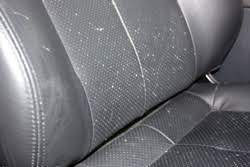 remove mildew smell from car how to