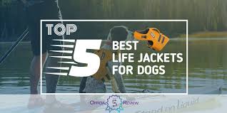 The 5 Best Life Jackets For Dogs In 2019 Dog Life Jacket