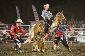 Blythewood DOKO Rodeo — Soda Citizen - Photo Stories from the South