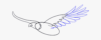 eagle flying drawing easy hd png