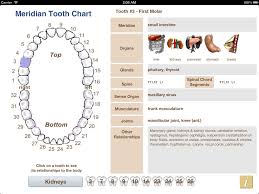 Meridian Tooth Chart Archives Allergies Your Gut