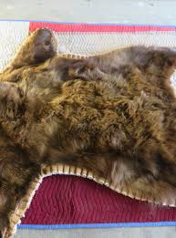 Red Brown Bear Skin Rug For B