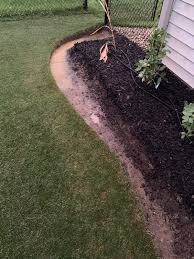 Natural Edge Drainage Issue Lawn Care