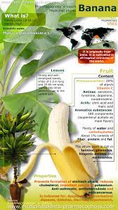 banana benefits pharmacognosy