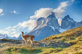 The park has some of the best hiking in the world and the chance to escape the many tourist trails and find a secluded spot. Patagonia Argentina V Chile Audley Travel