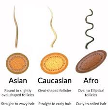In general, male hair grows slightly faster than female hair. What Is The Average Rate For Hair Growth My Hair Secret
